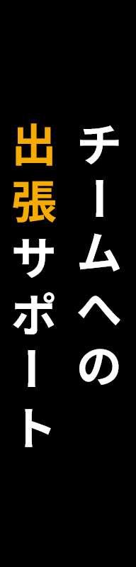 チームへの出張サポート